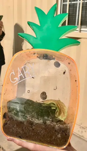 Gary