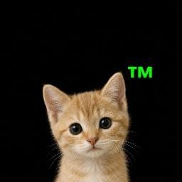 cat™