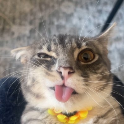 Rigby