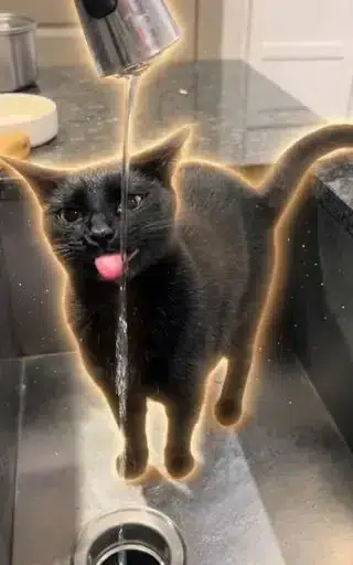 Luca