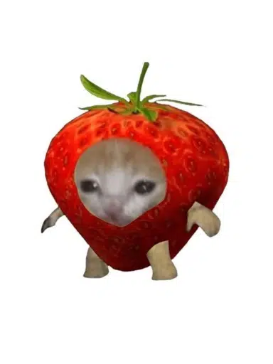 Strawberrycat