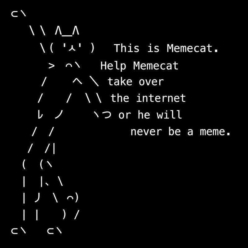 memecat — memecat Solana token traded by KOLs