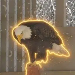 SPIRIT