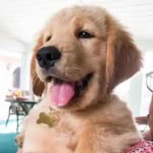 Tucker
