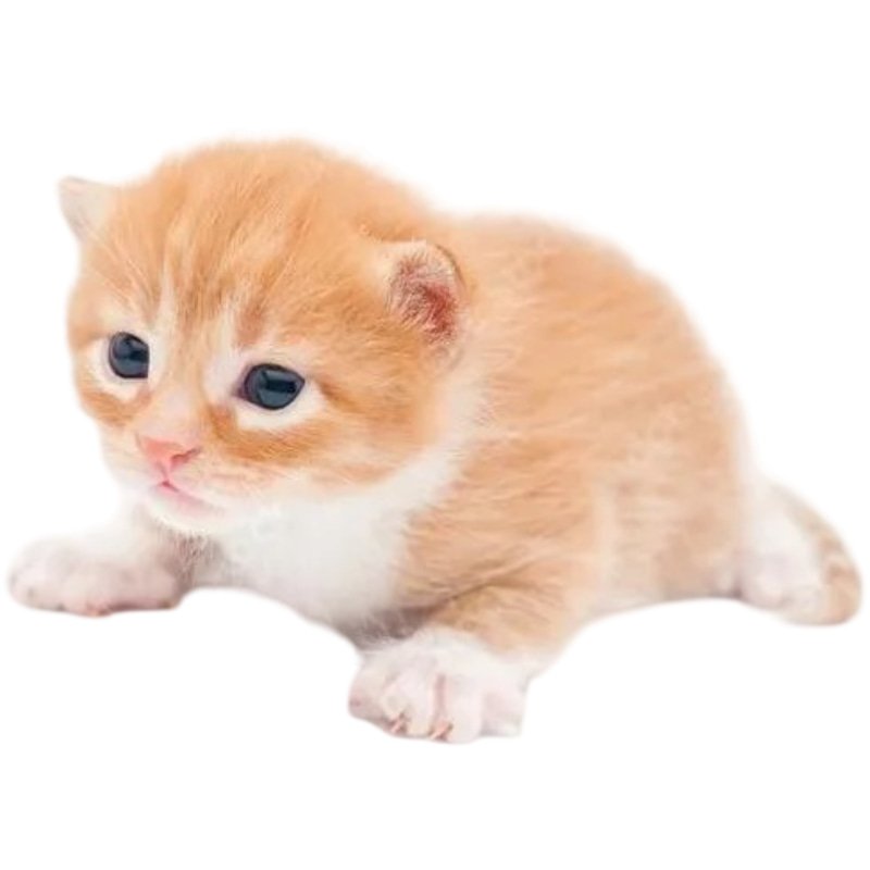 Gary