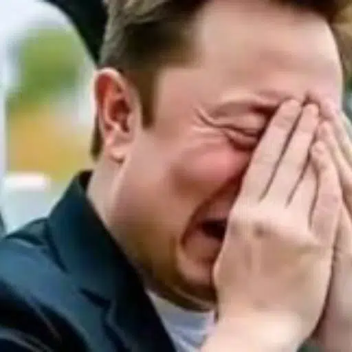 ELON — SadLittleBitchWithNoFriends Solana token traded by KOLs