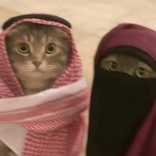 HABIBI