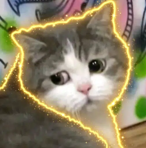毛毛