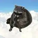 crackcoon