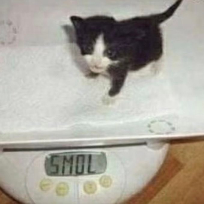smol