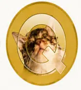 QENIS