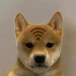 wifi