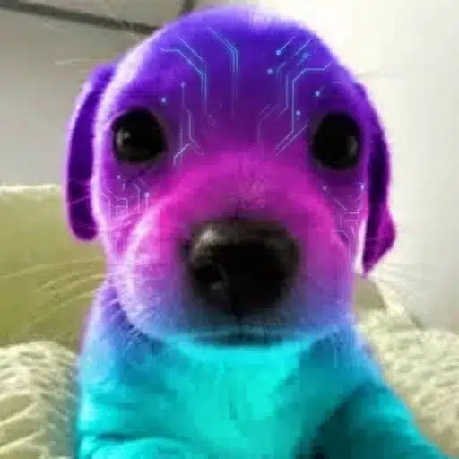 ray