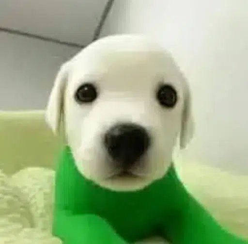 billy