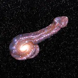 Galacdick