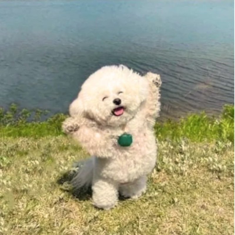 PUP