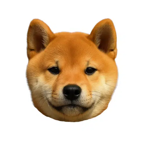 $koinu token logo