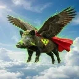 MSP