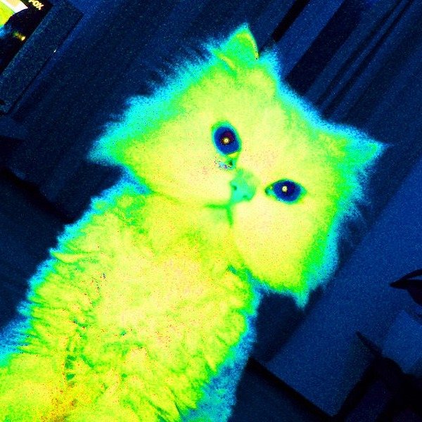 QCAT