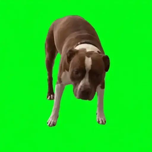 Kiki