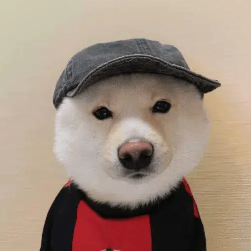 Jeff