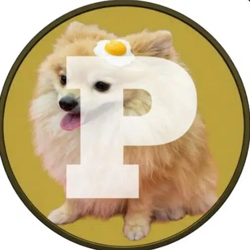 PONTA