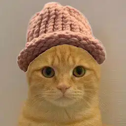 WIF