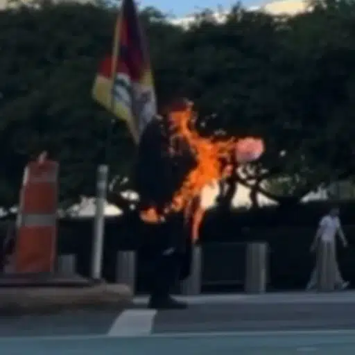 Fireman