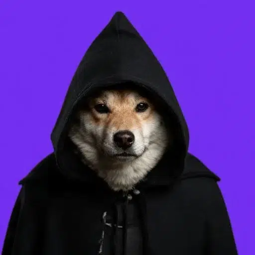 DIC