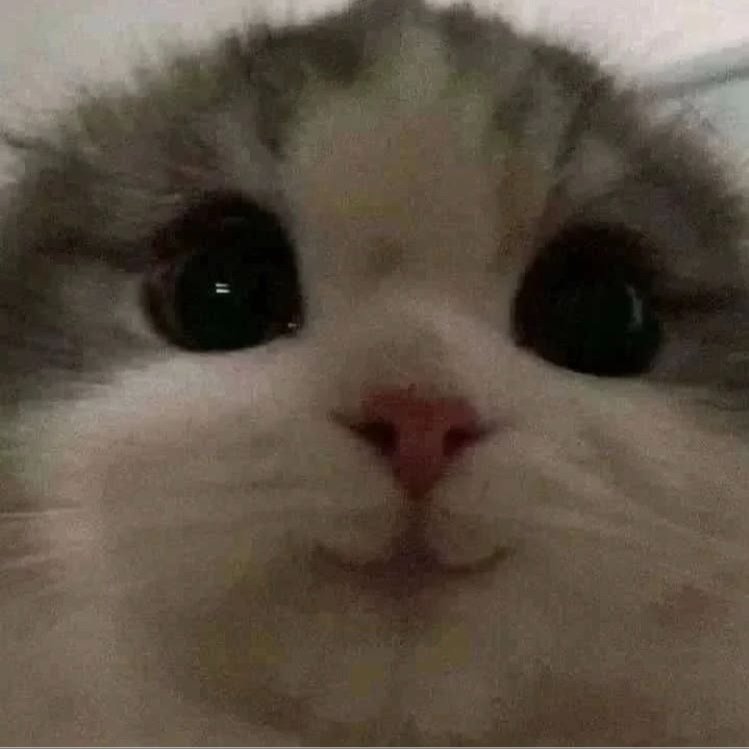 :3