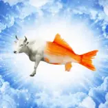 Bullish
