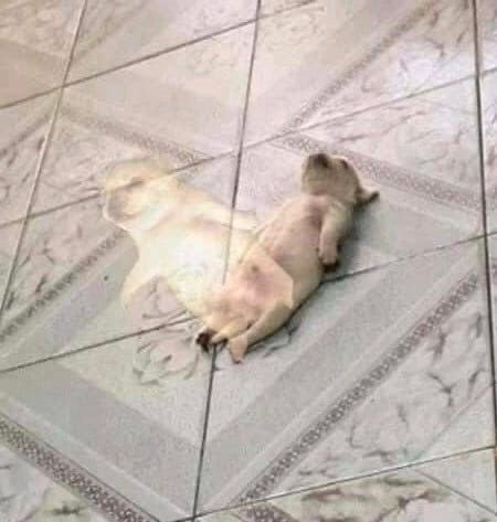 ascend