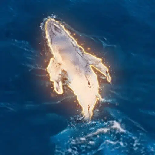 CALF