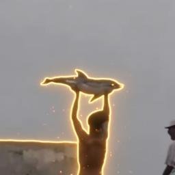 DOLPHIN logo