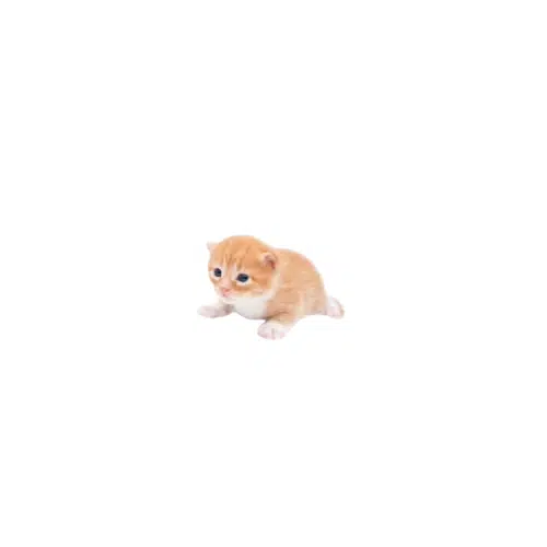 Gary