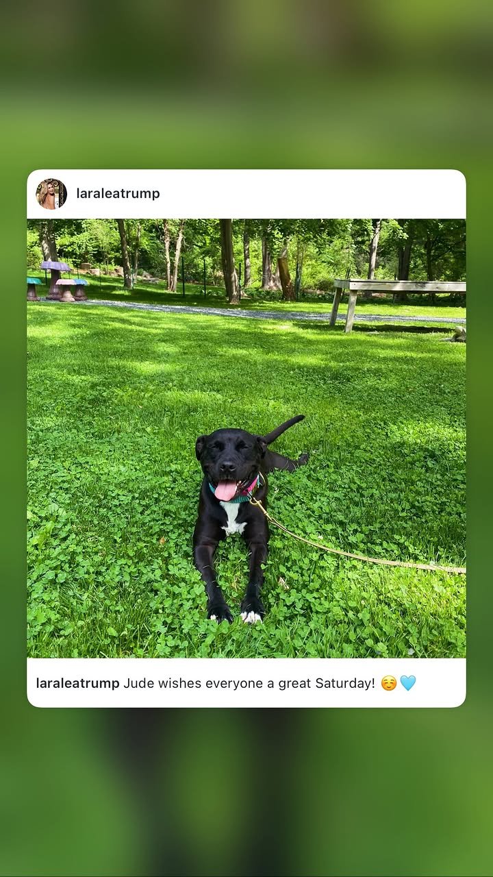 JUDE