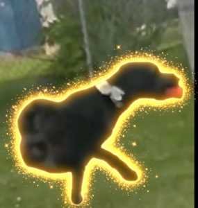 BEAU