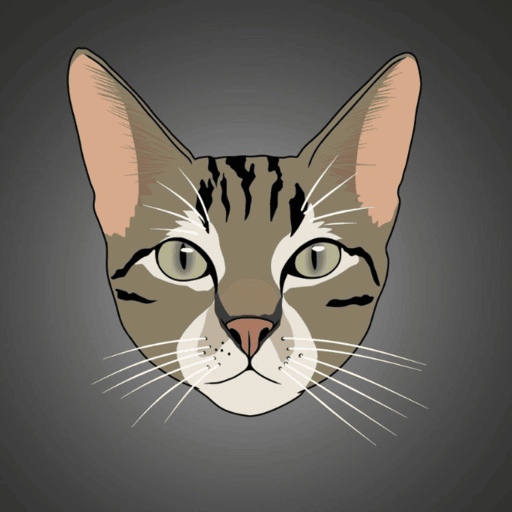 KitKat