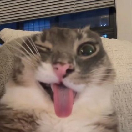 Rigby