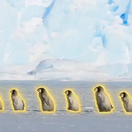 Crèche