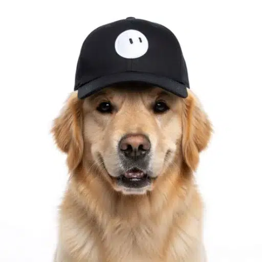 GrokDog
