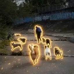 8
