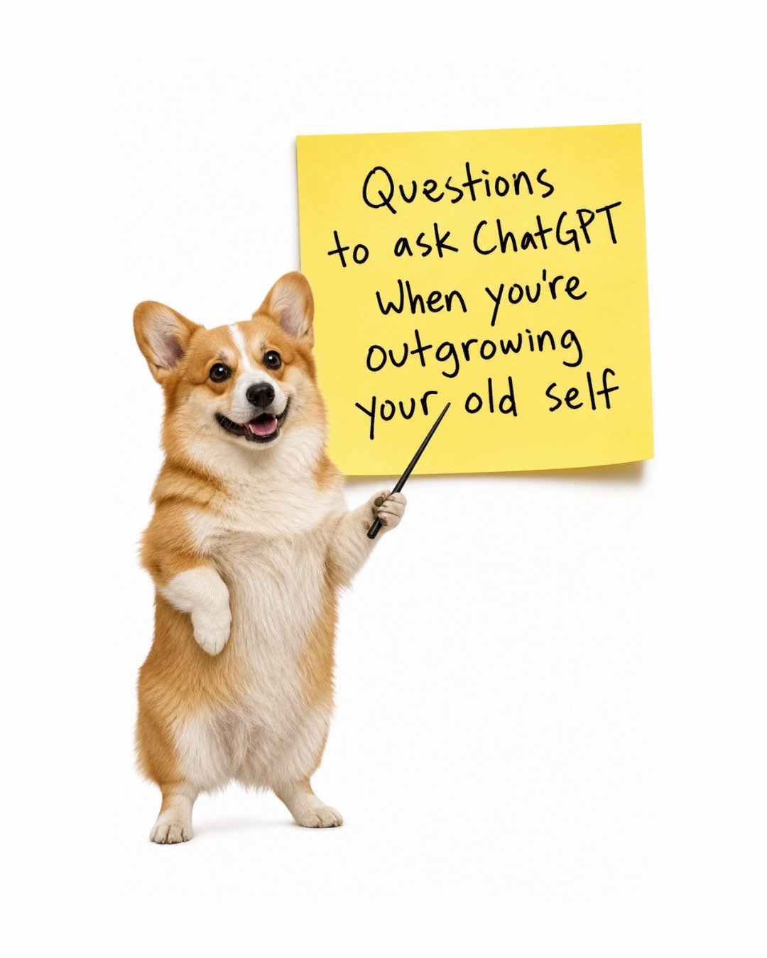 POSTDOG
