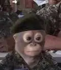 monke