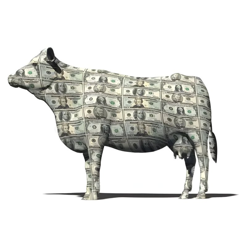 CASHCOW — recently traded by Exey on Solana