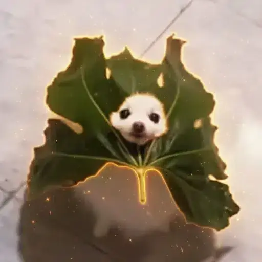 DID