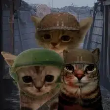 TRENCHCATS