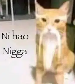 你好