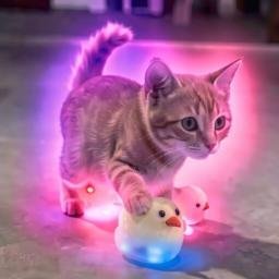 Glow