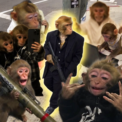 Tito — The Bagworking Monkey Solana token traded by KOLs
